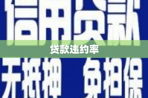云和贷款违约率