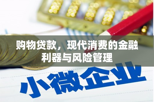 云和购物贷款，现代消费的金融利器与风险管理