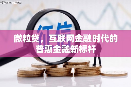 云和微粒贷，互联网金融时代的普惠金融新标杆