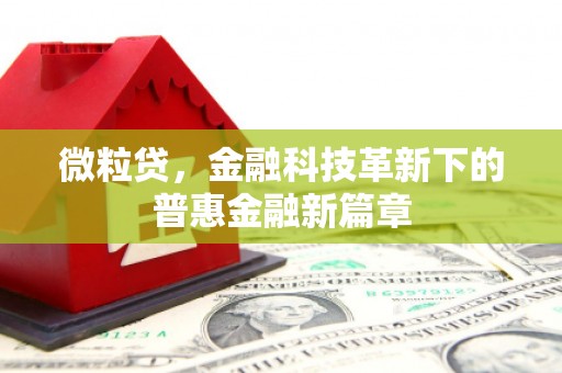 云和微粒贷，金融科技革新下的普惠金融新篇章