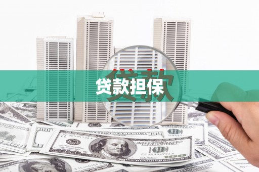云和贷款担保