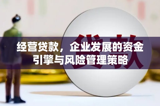 云和经营贷款，企业发展的资金引擎与风险管理策略