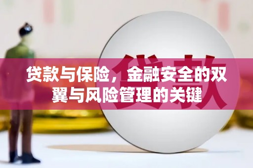 云和贷款与保险，金融安全的双翼与风险管理的关键