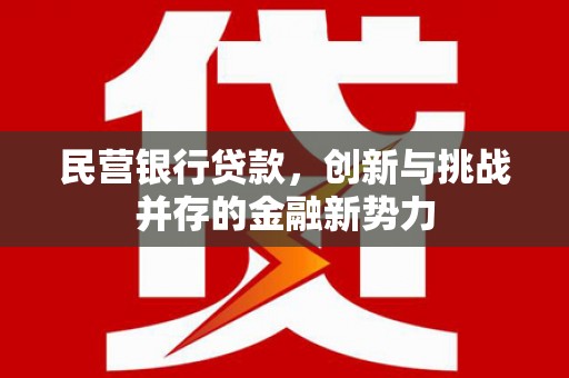 云和民营银行贷款，创新与挑战并存的金融新势力