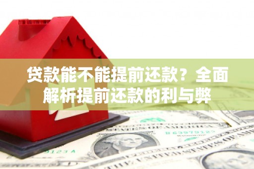 云和贷款能不能提前还款？全面解析提前还款的利与弊