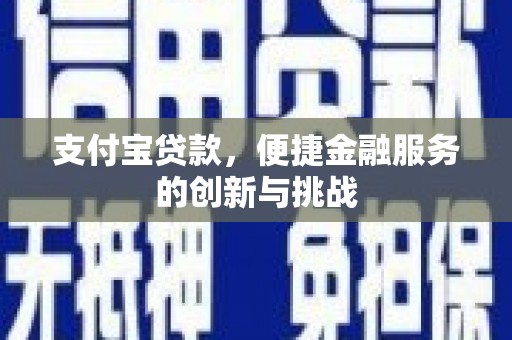 云和支付宝贷款，便捷金融服务的创新与挑战