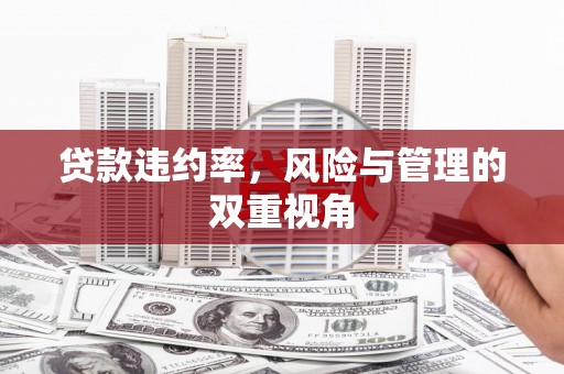 云和贷款违约率，风险与管理的双重视角