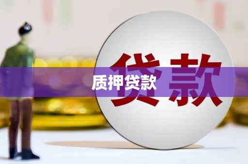 云和质押贷款