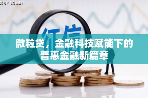 云和微粒贷，金融科技赋能下的普惠金融新篇章