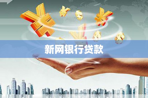 云和新网银行贷款