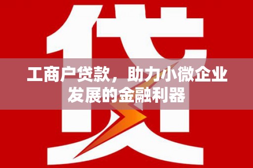 云和工商户贷款，助力小微企业发展的金融利器