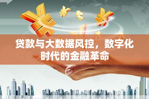 云和贷款与大数据风控，数字化时代的金融革命