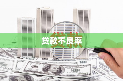 云和贷款不良率