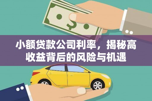 云和小额贷款公司利率，揭秘高收益背后的风险与机遇