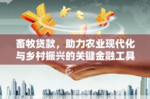 云和畜牧贷款，助力农业现代化与乡村振兴的关键金融工具