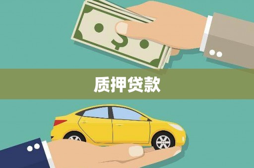 云和质押贷款