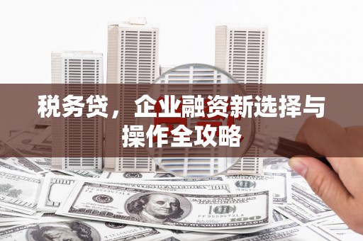 云和税务贷，企业融资新选择与操作全攻略