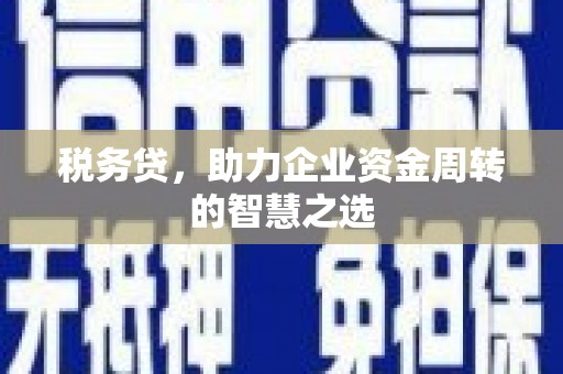 云和税务贷，助力企业资金周转的智慧之选