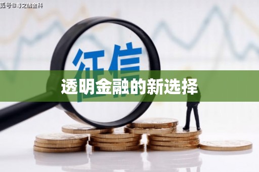 云和透明金融的新选择
