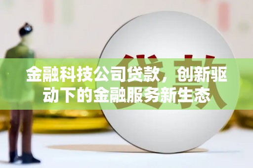 云和金融科技公司贷款，创新驱动下的金融服务新生态