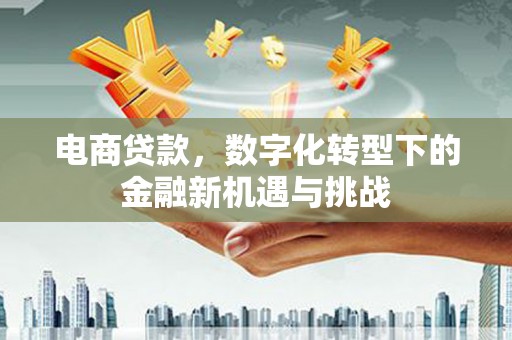 云和电商贷款，数字化转型下的金融新机遇与挑战