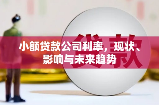 云和小额贷款公司利率，现状、影响与未来趋势