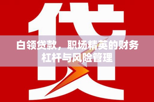 云和白领贷款，职场精英的财务杠杆与风险管理