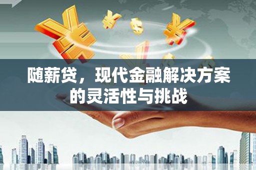 云和随薪贷，现代金融解决方案的灵活性与挑战
