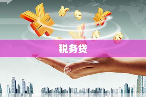 云和税务贷
