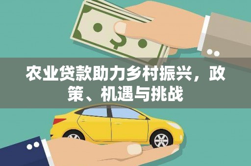 云和农业贷款助力乡村振兴，政策、机遇与挑战