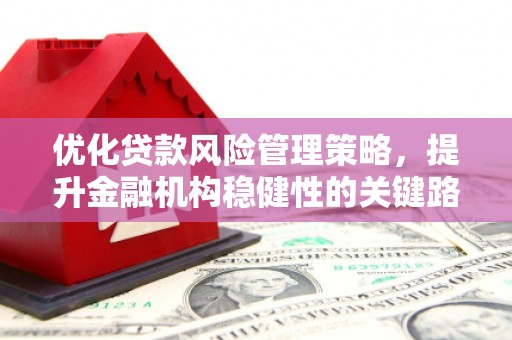 云和优化贷款风险管理策略，提升金融机构稳健性的关键路径