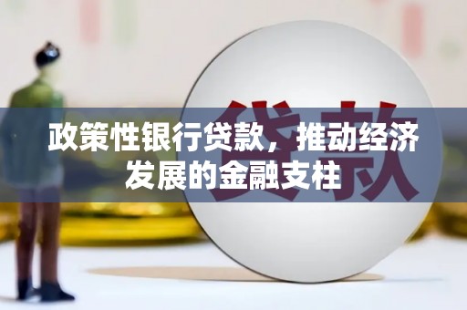 云和政策性银行贷款，推动经济发展的金融支柱