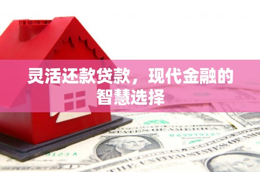 云和灵活还款贷款，现代金融的智慧选择