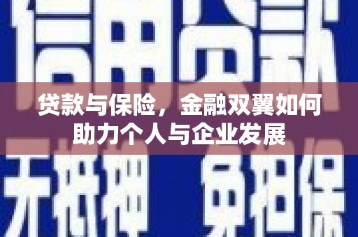 云和贷款与保险，金融双翼如何助力个人与企业发展