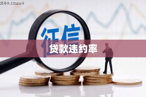 云和贷款违约率