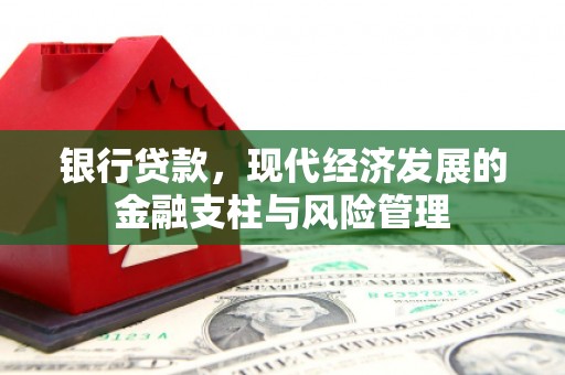 云和银行贷款，现代经济发展的金融支柱与风险管理