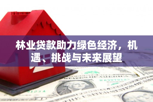 云和林业贷款助力绿色经济，机遇、挑战与未来展望