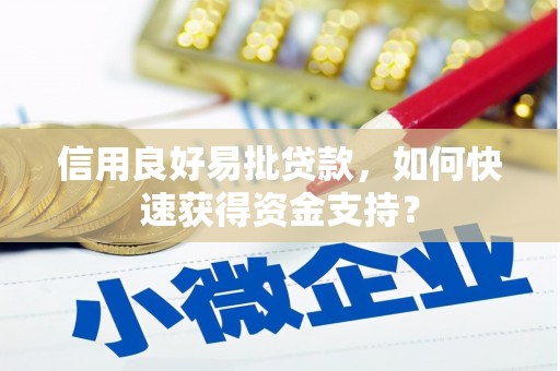 云和信用良好易批贷款，如何快速获得资金支持？