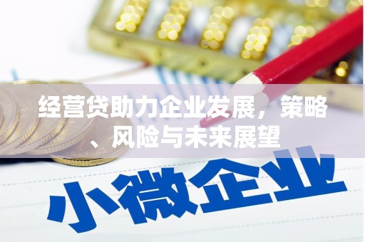 云和经营贷助力企业发展，策略、风险与未来展望