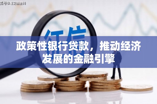 云和政策性银行贷款，推动经济发展的金融引擎