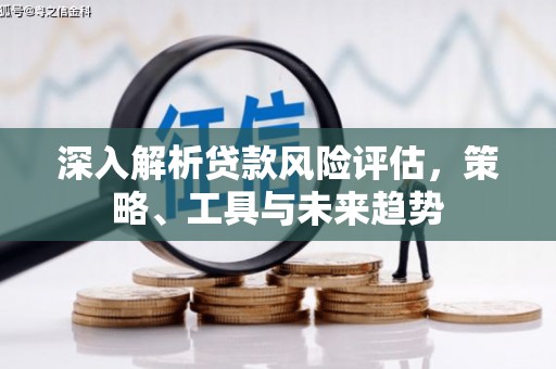 云和深入解析贷款风险评估，策略、工具与未来趋势