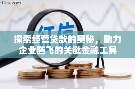云和探索经营贷款的奥秘，助力企业腾飞的关键金融工具