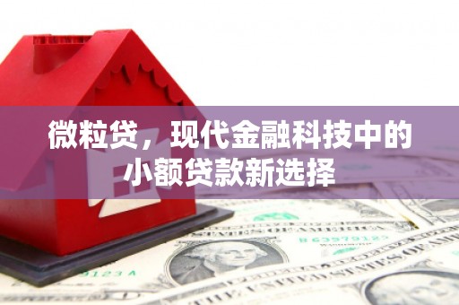 云和微粒贷，现代金融科技中的小额贷款新选择
