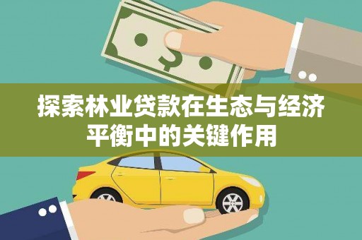 云和探索林业贷款在生态与经济平衡中的关键作用