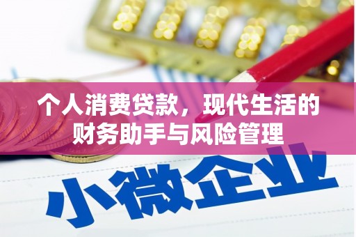 云和个人消费贷款，现代生活的财务助手与风险管理