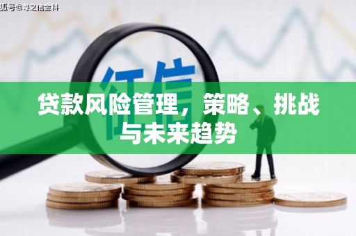 云和贷款风险管理，策略、挑战与未来趋势