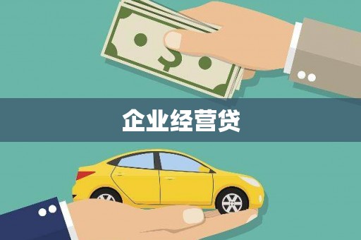 云和企业经营贷