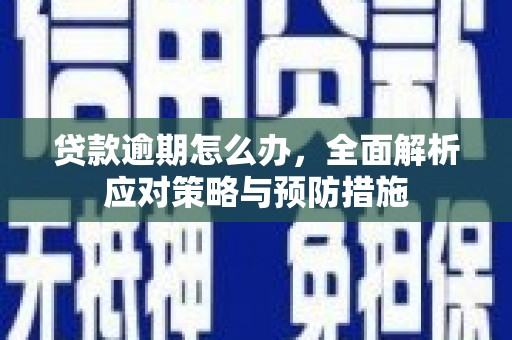 云和贷款逾期怎么办，全面解析应对策略与预防措施