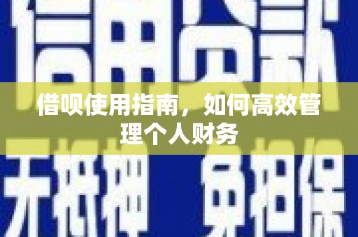 云和借呗使用指南，如何高效管理个人财务