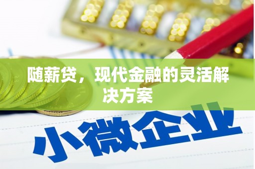 云和随薪贷，现代金融的灵活解决方案